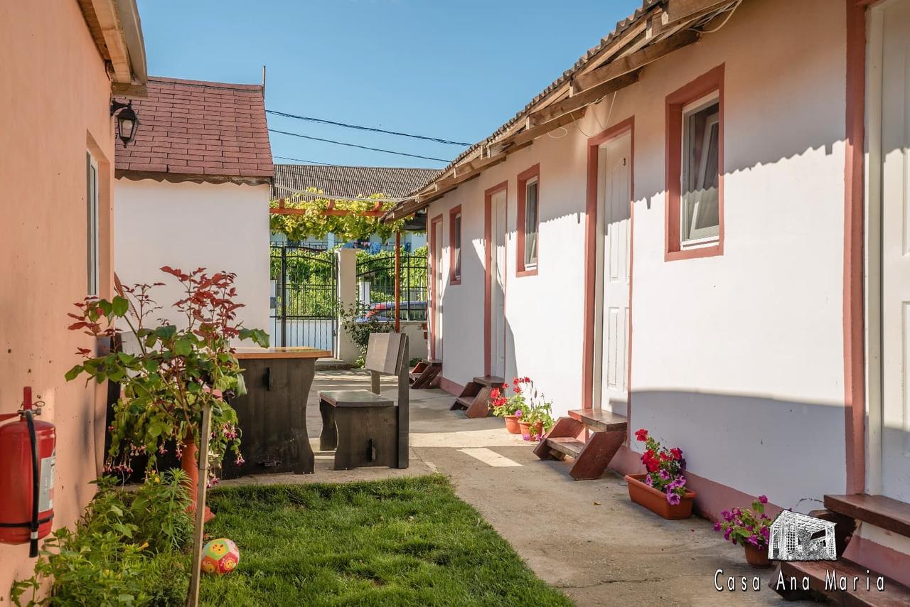 Willa Casa Ana Maria Vama Veche Zewnętrze zdjęcie