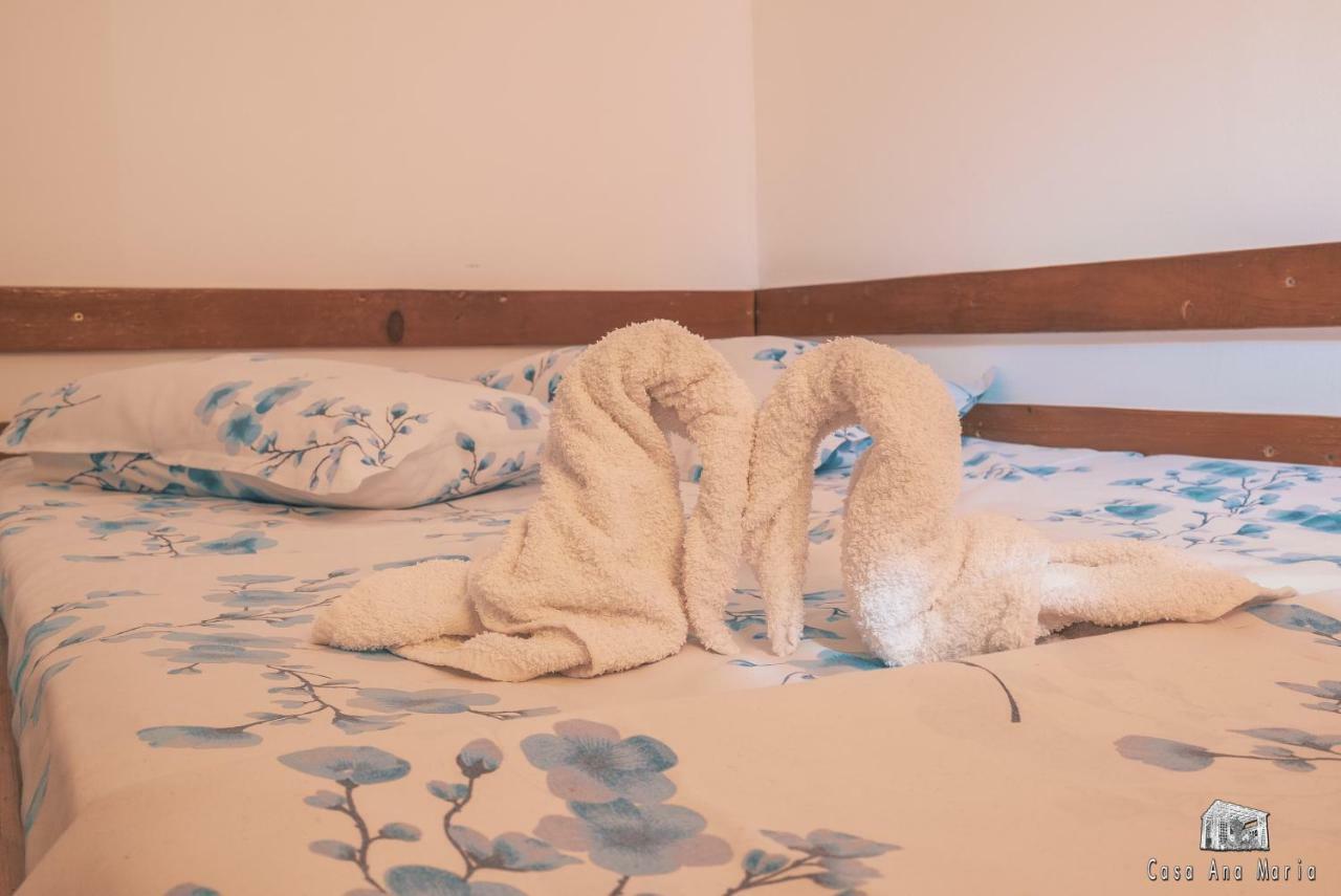 Willa Casa Ana Maria Vama Veche Zewnętrze zdjęcie